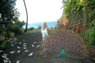 Kathy in Maui with Peacock