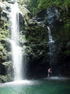 Maui Waterfall